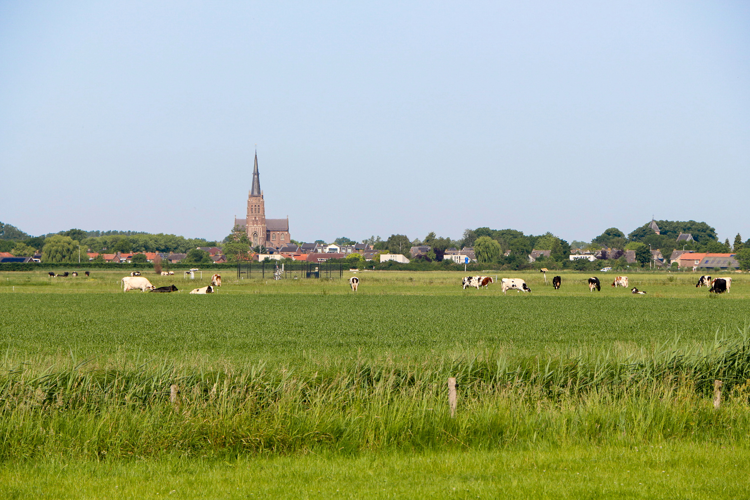 De nieuwe dorpscontouren in gemeente West Maas en Waal