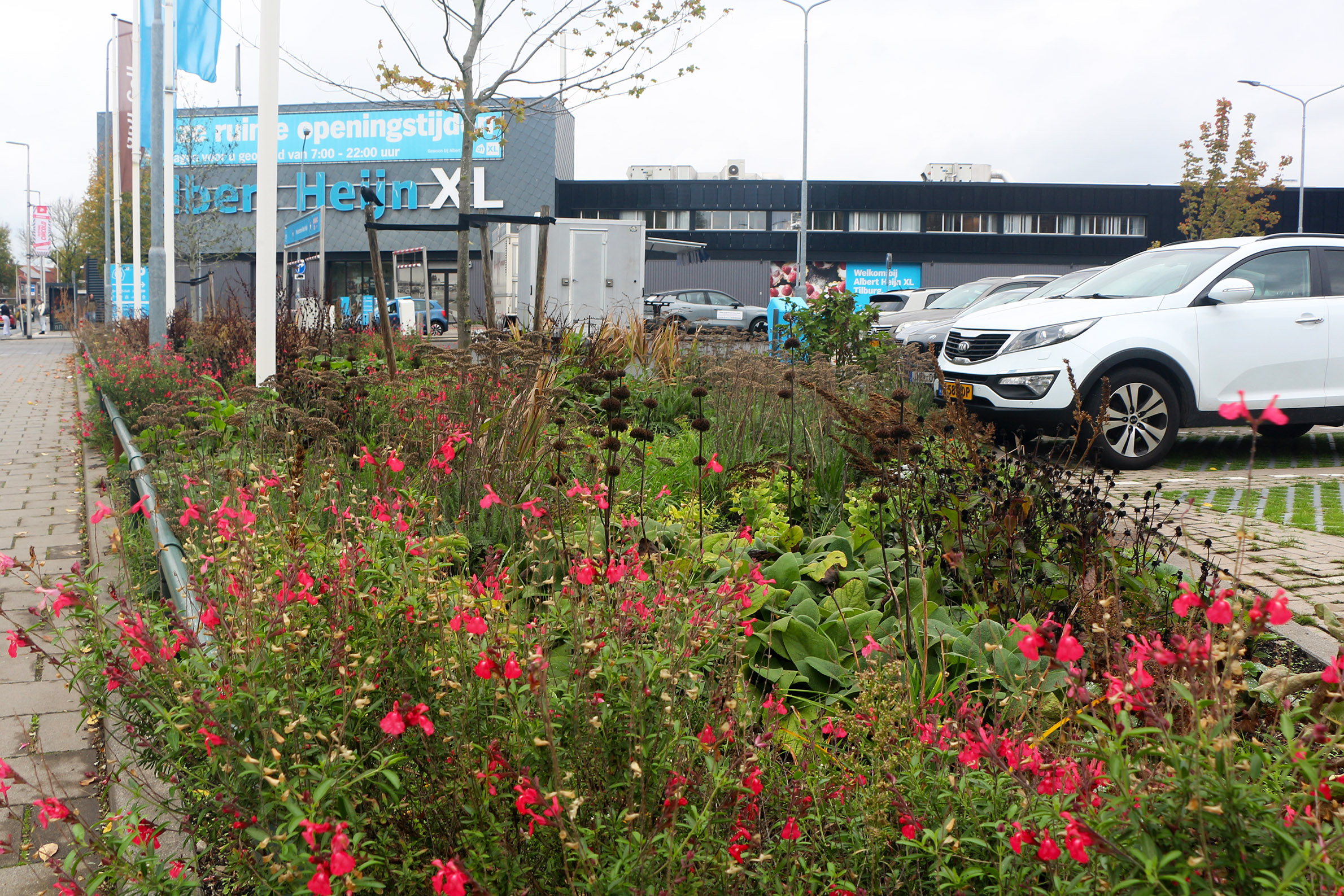 Parkeerterrein AH XL Tilburg